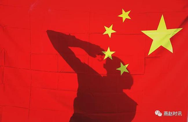 十个月泰迪三斤多是什么体型的?-有问必答平台,解答您的所有疑问